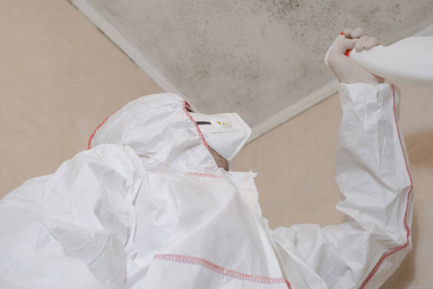 Why You Should Choose Our Mold Remediation Services in Lockport, LA